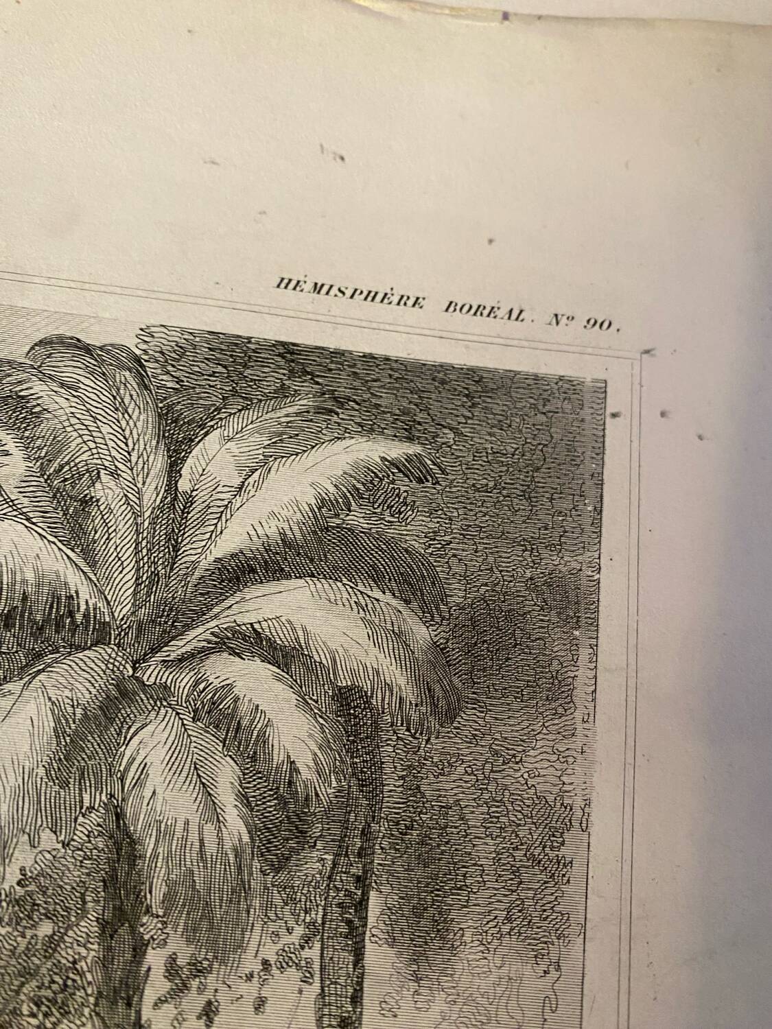 Old illustrated map of French colonies Martinique.