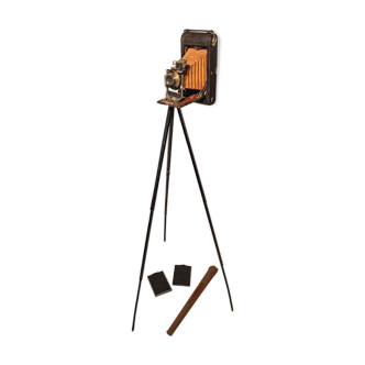 standing bellows camera