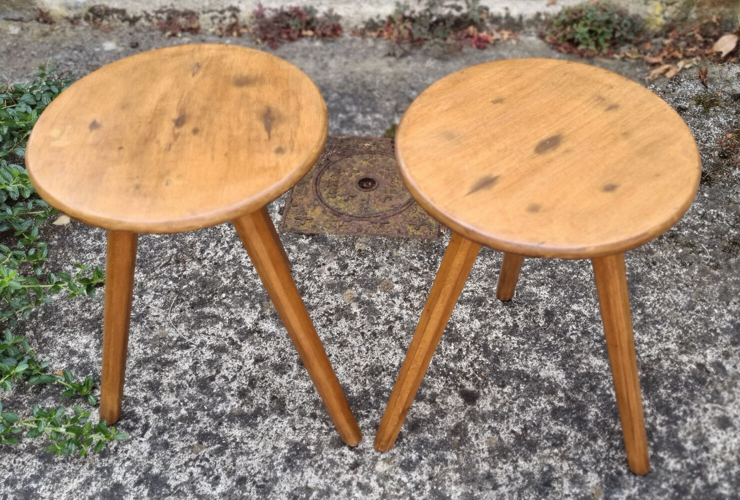 Pair of wooden tripod stools, tapered feet, vintage, 60s