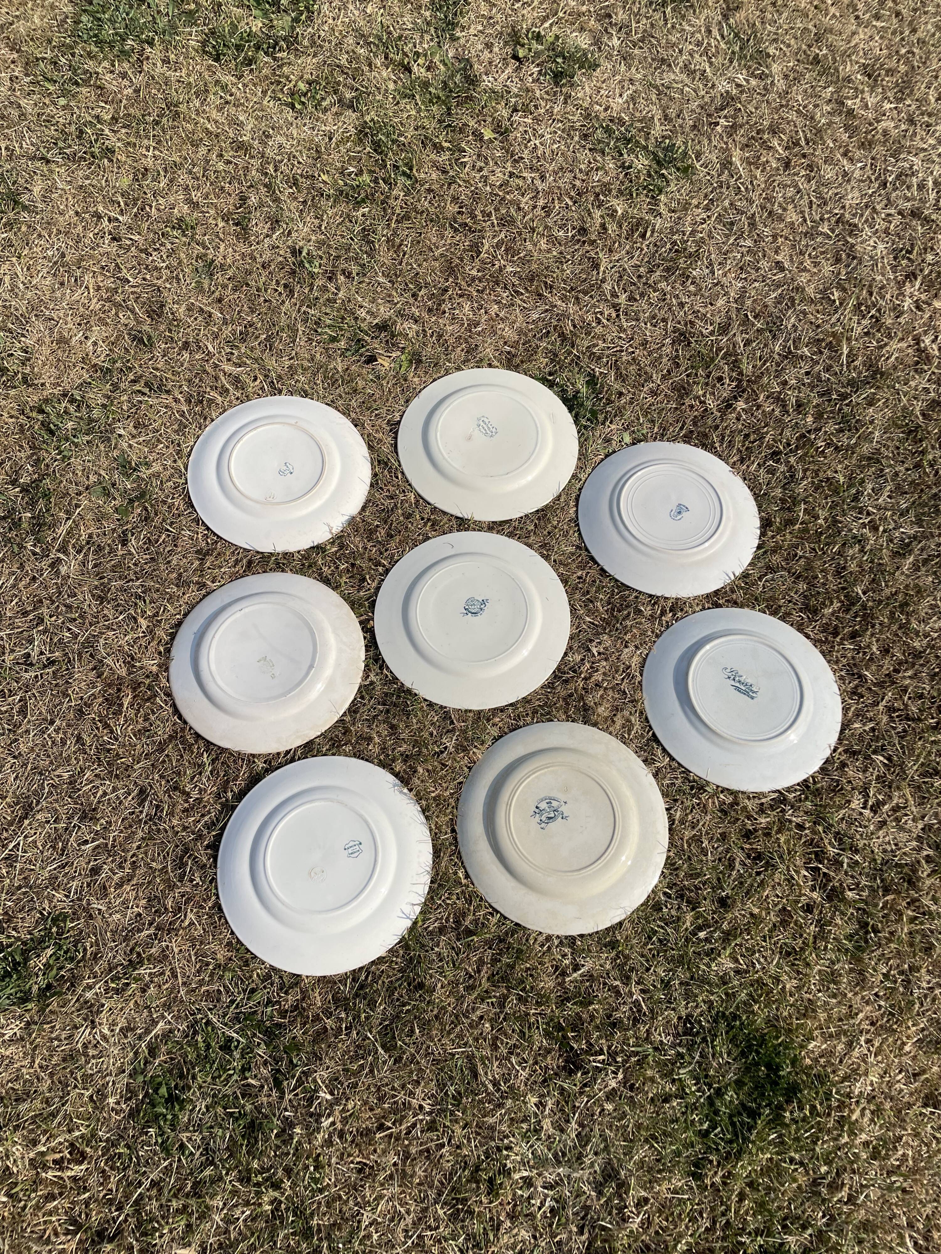 Set of 8 mismatched iron earth flat plates