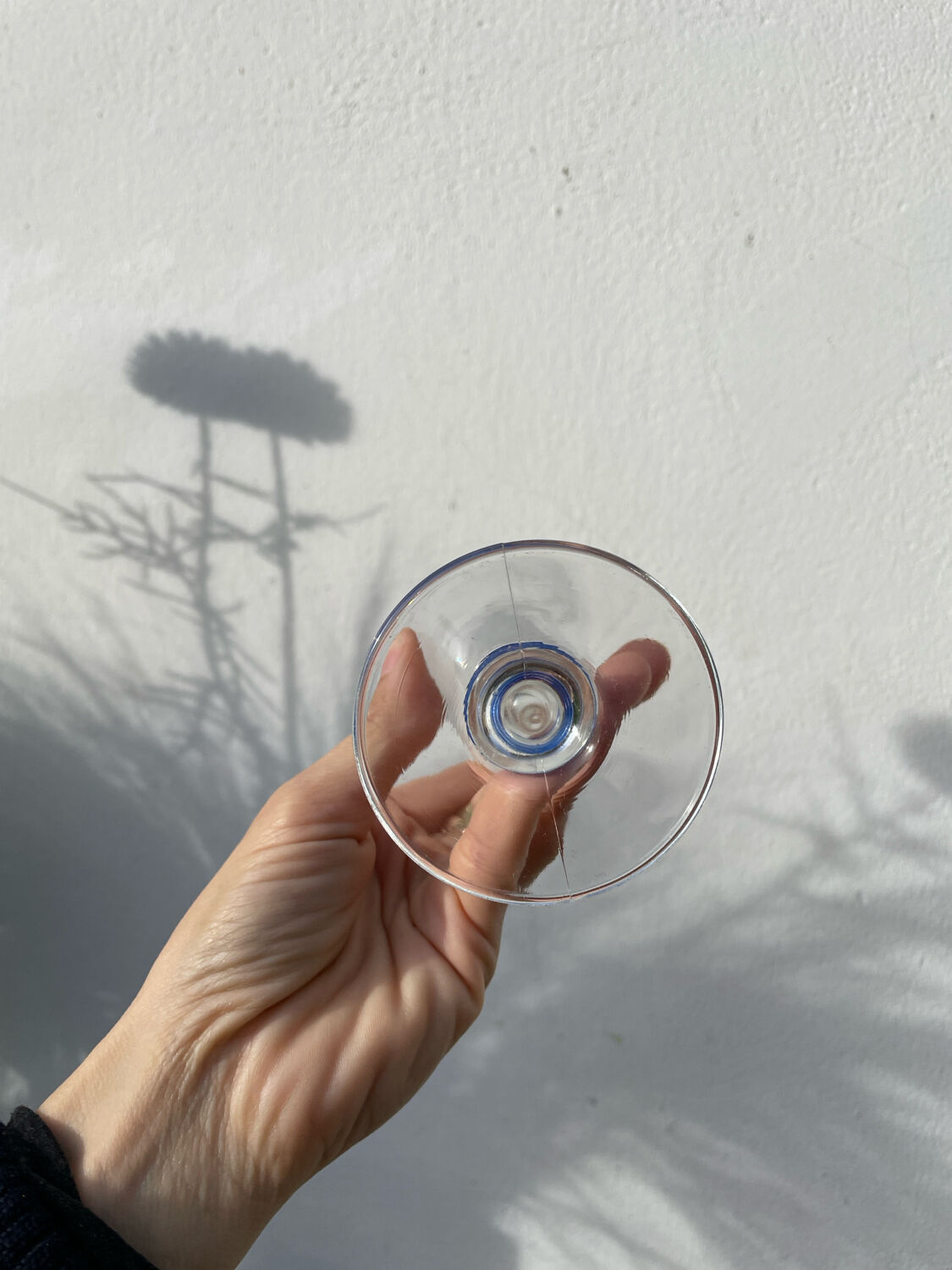 6 clear champagne flutes with blue stems, designer style