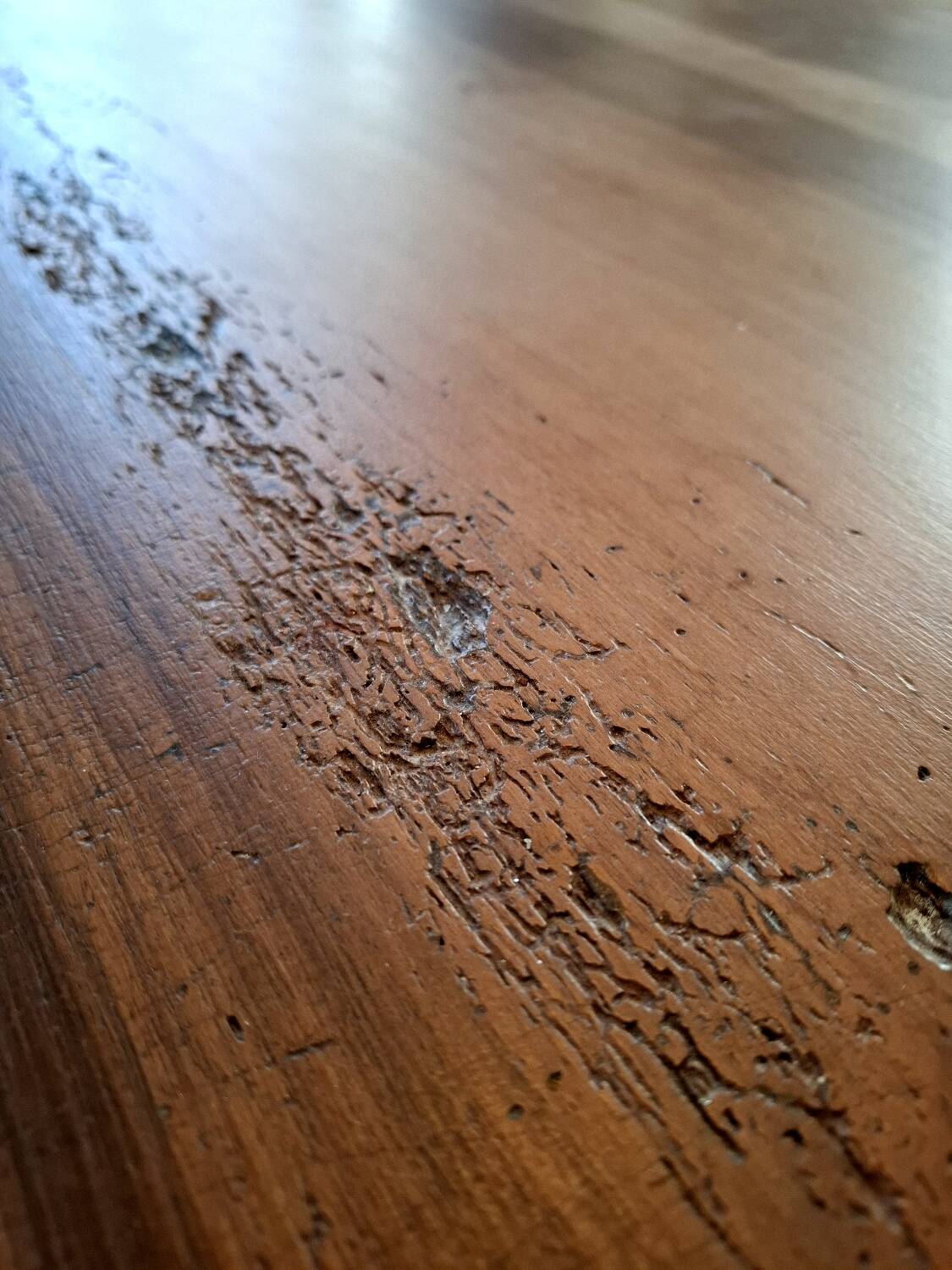 Walnut farmhouse table 200x80 8 people.