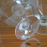 Set of 6 water glasses with stylized branch pattern
