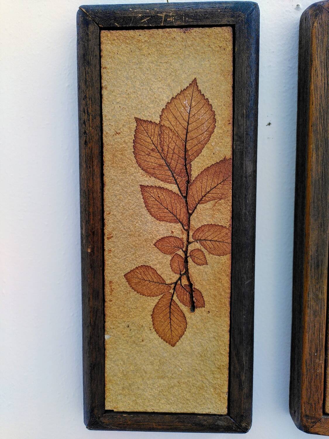 Vallauris herbarium triptych, R.Leduc