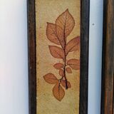 Vallauris herbarium triptych, R.Leduc