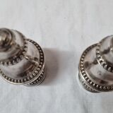 English silver metal salts