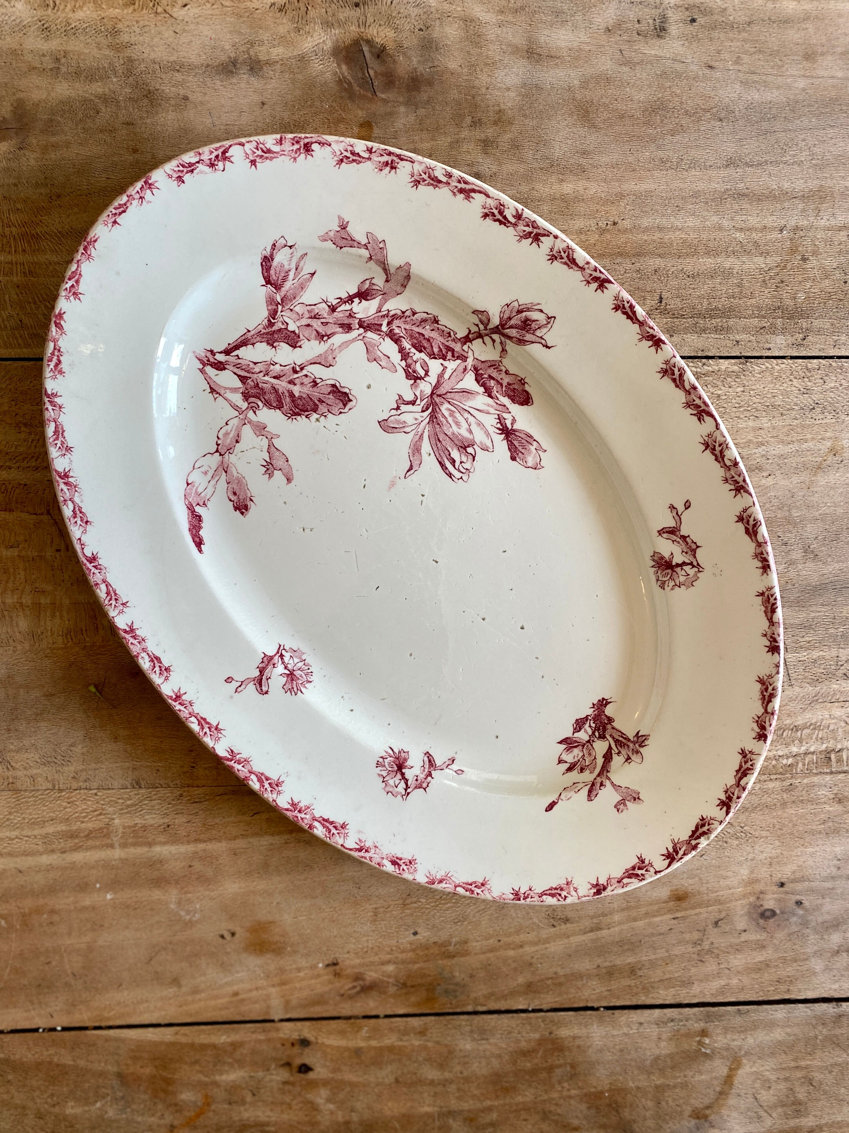 Old oval dish in iron earth