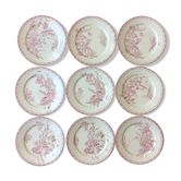 Series of 9 old flat plates Iron Land
