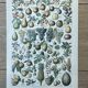 Botanical plate "Fruits" - 18.8x27.8cm