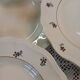 12 old Digoin and Sarreguemines soup plates