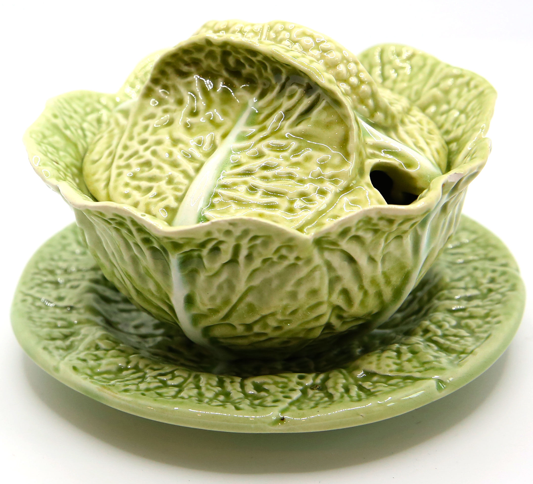 Mustard bush slurry light green cabbage leaf