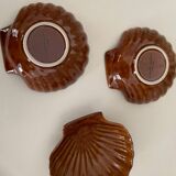 Sandstone scallop shells