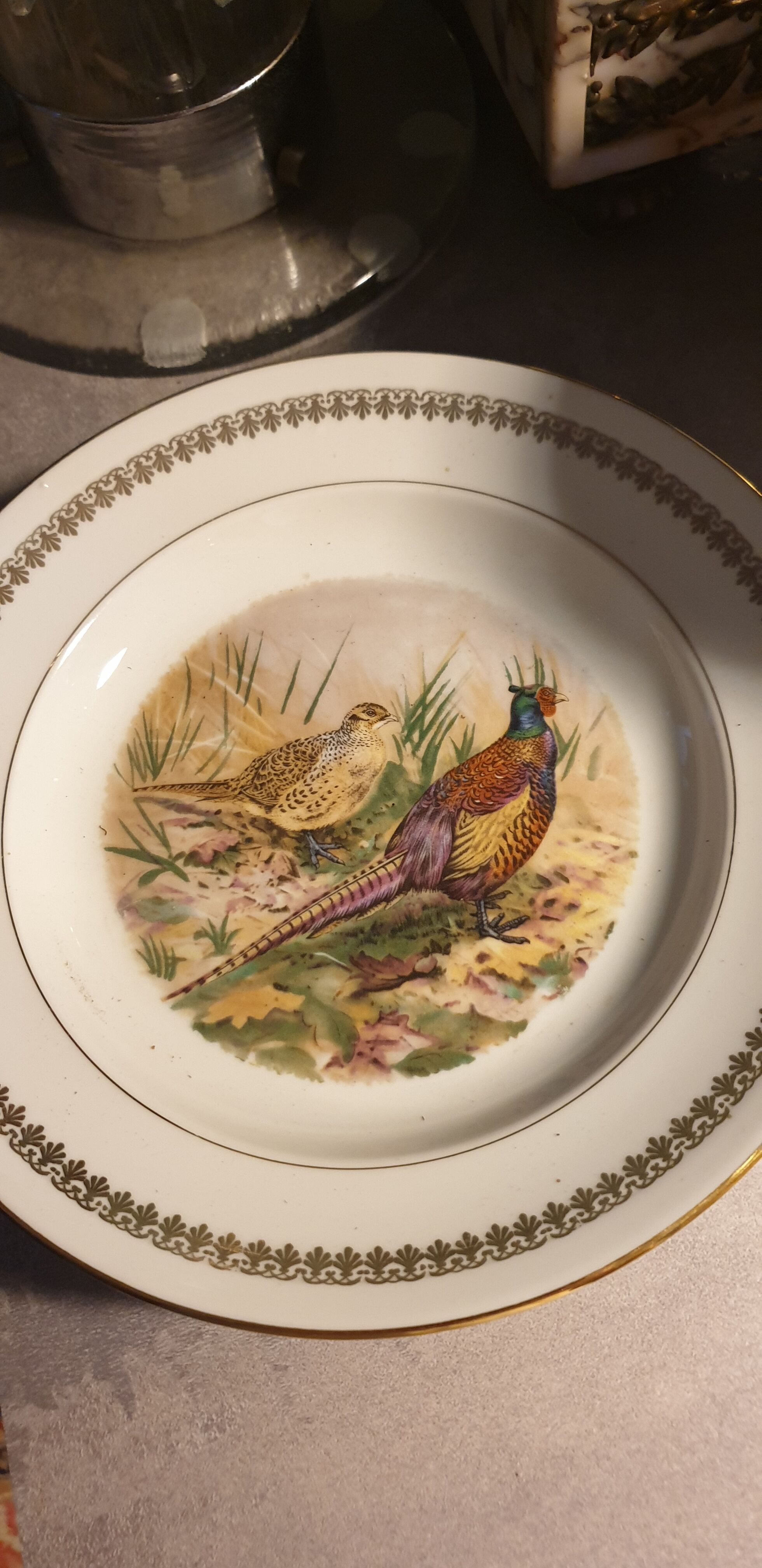 Game plates pl france