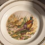 Game plates pl france
