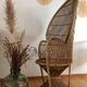 Emmanuelle chair - peacock