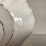 Scallop shell dove emptier