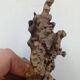 Organic Sculpture Brutalist Modernist Midcentury Gilded Bronze Casting