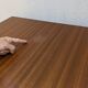 Marcel Gascoin modernist dining table + extension 1950