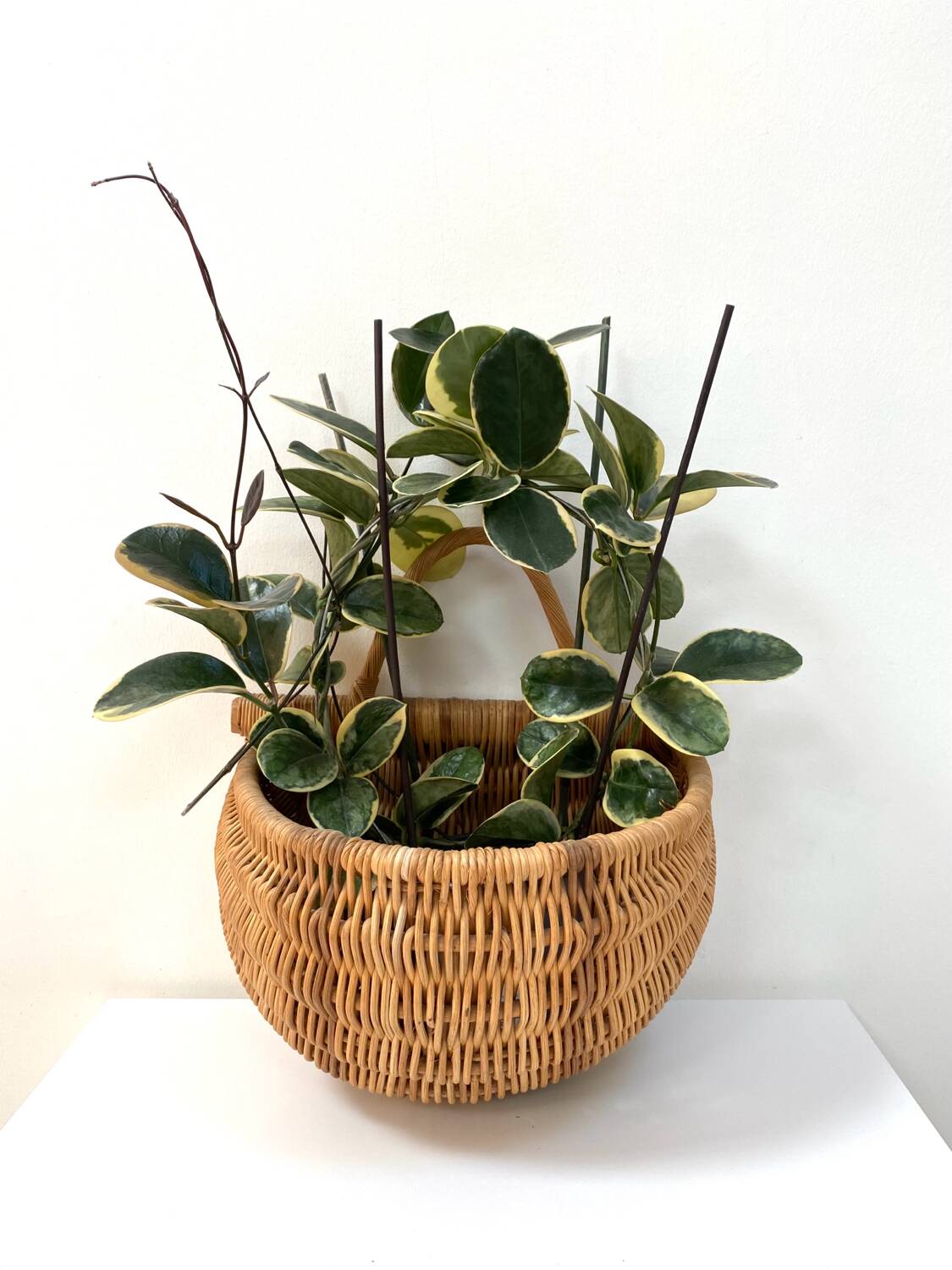 Large hanging wicker rattan basket - 1970s