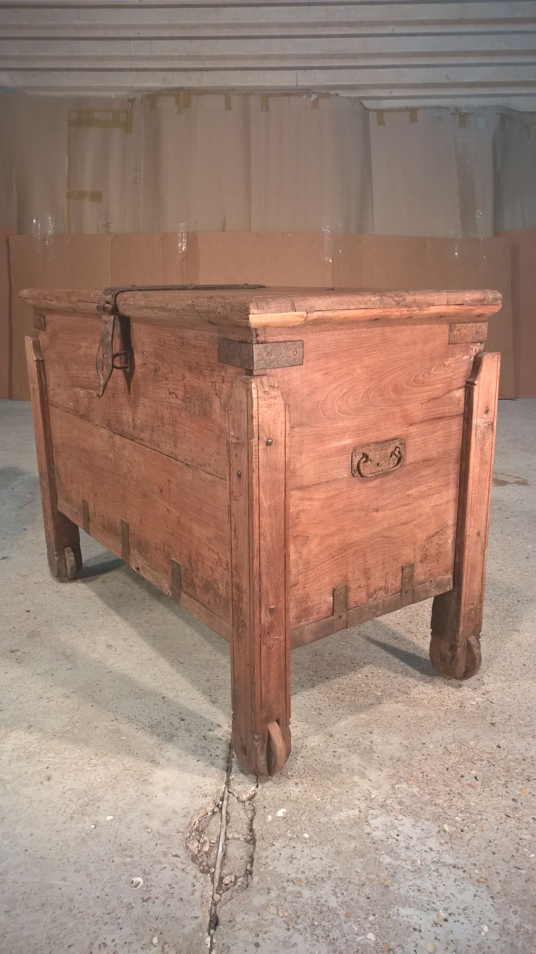 Trunk goannais ink310