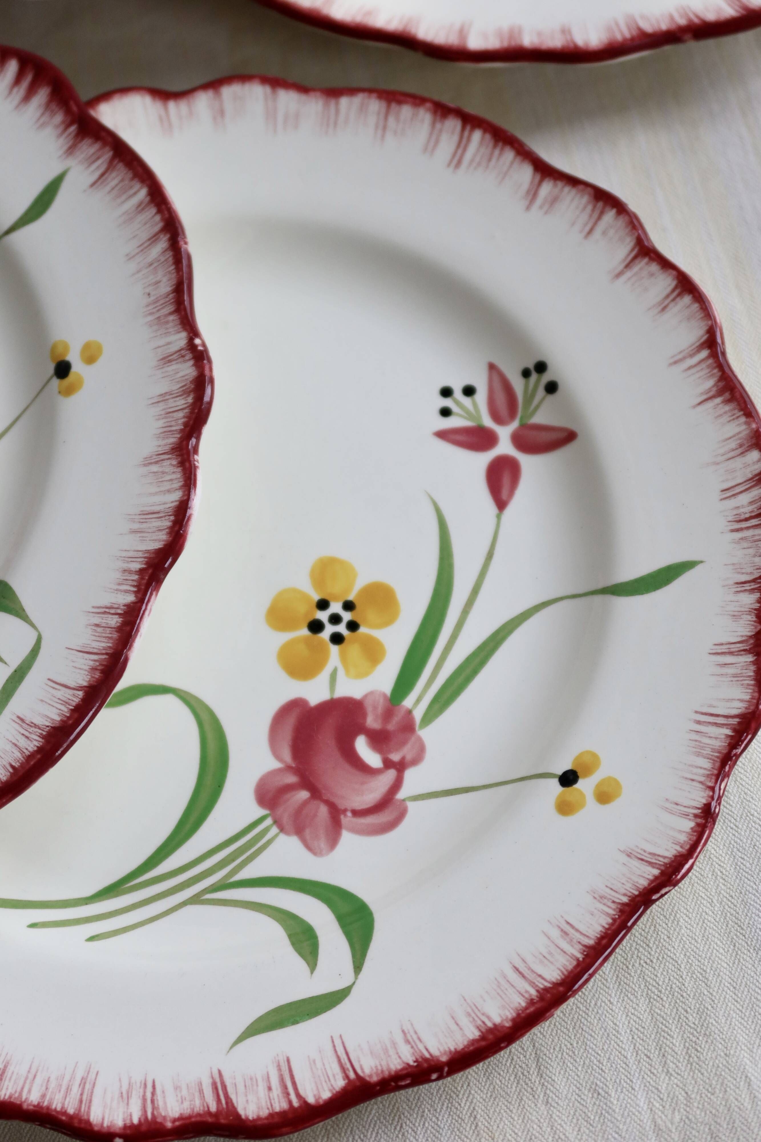 6 vintage ironstone dinner plates Salins model Pierrette