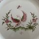 Moustiers porcelain plate