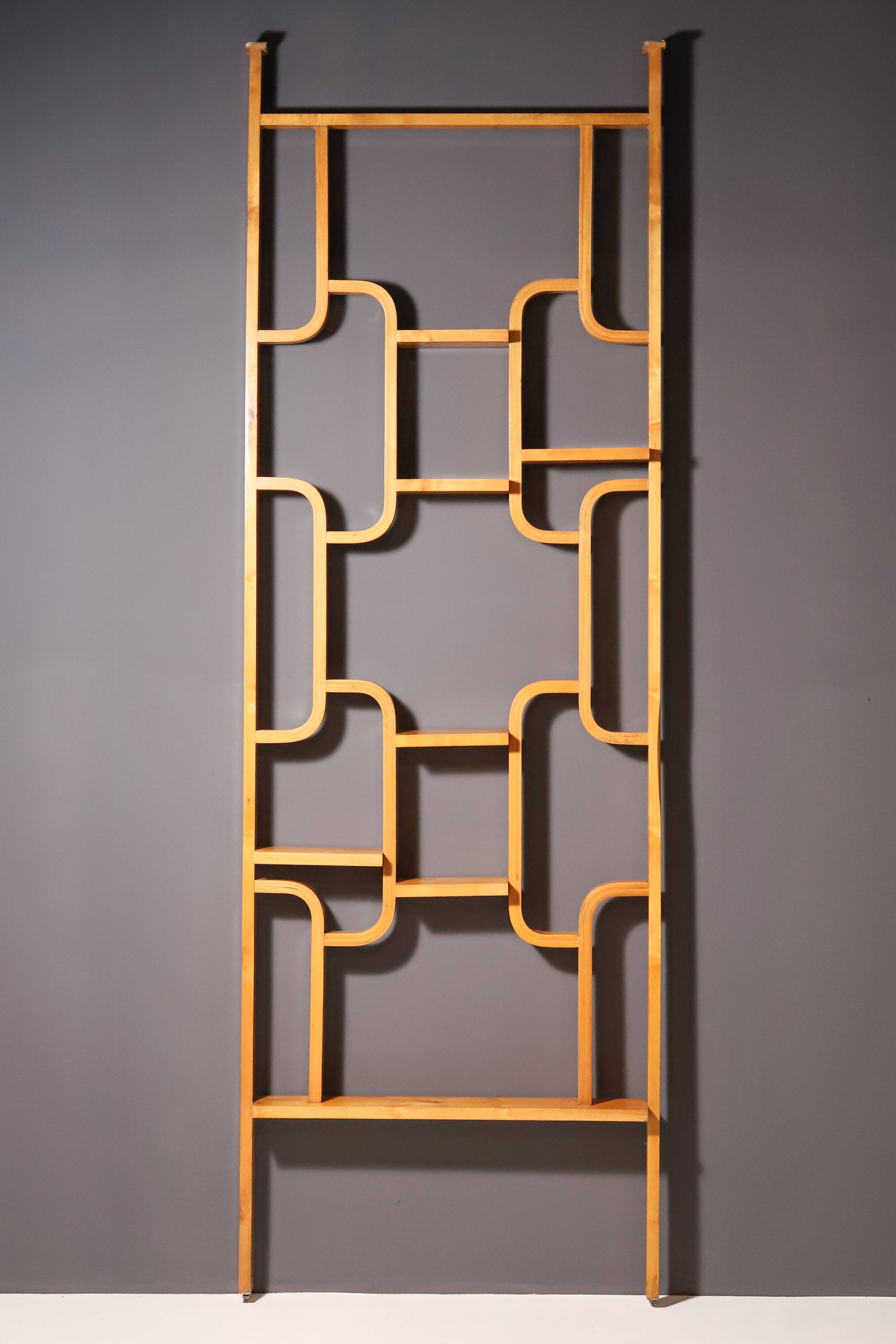 Mid-Century Divider by Ludvik Volak from Drevopodnik Holesov, 1970s