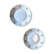 Lot two plates porcelain vintage flower motifs
