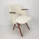 FT30 Chair by Cees Braakman for Pastoe, 1950's