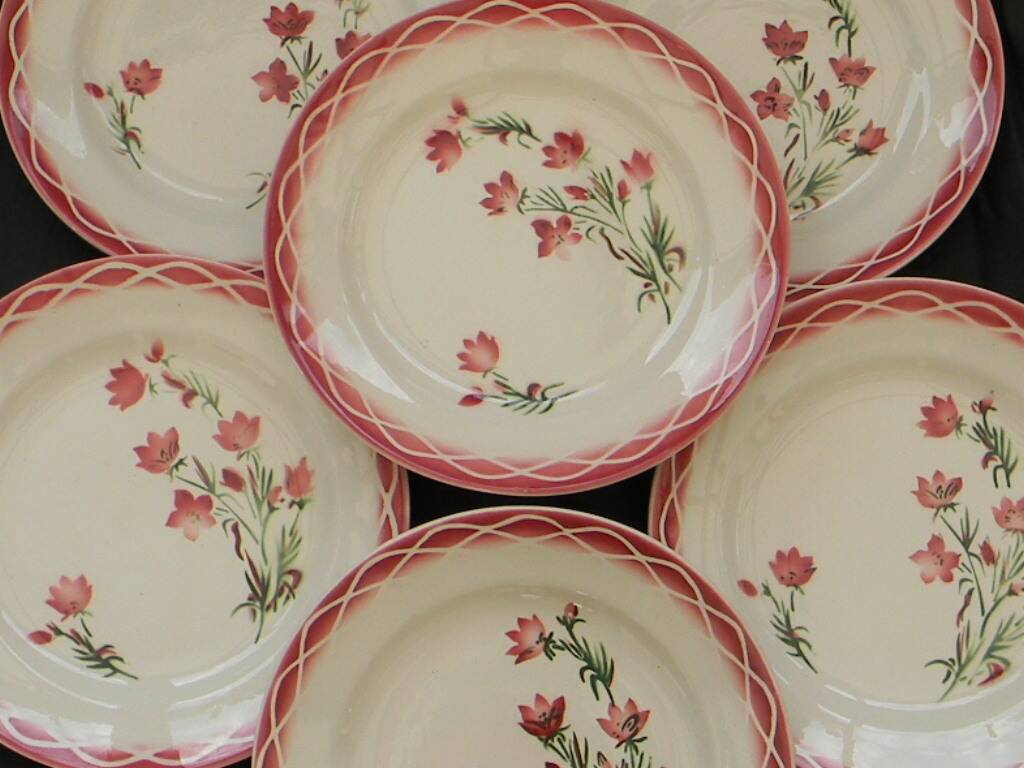 Set of 6 digoin sarreguemines earthenware dinner plates. aude model.