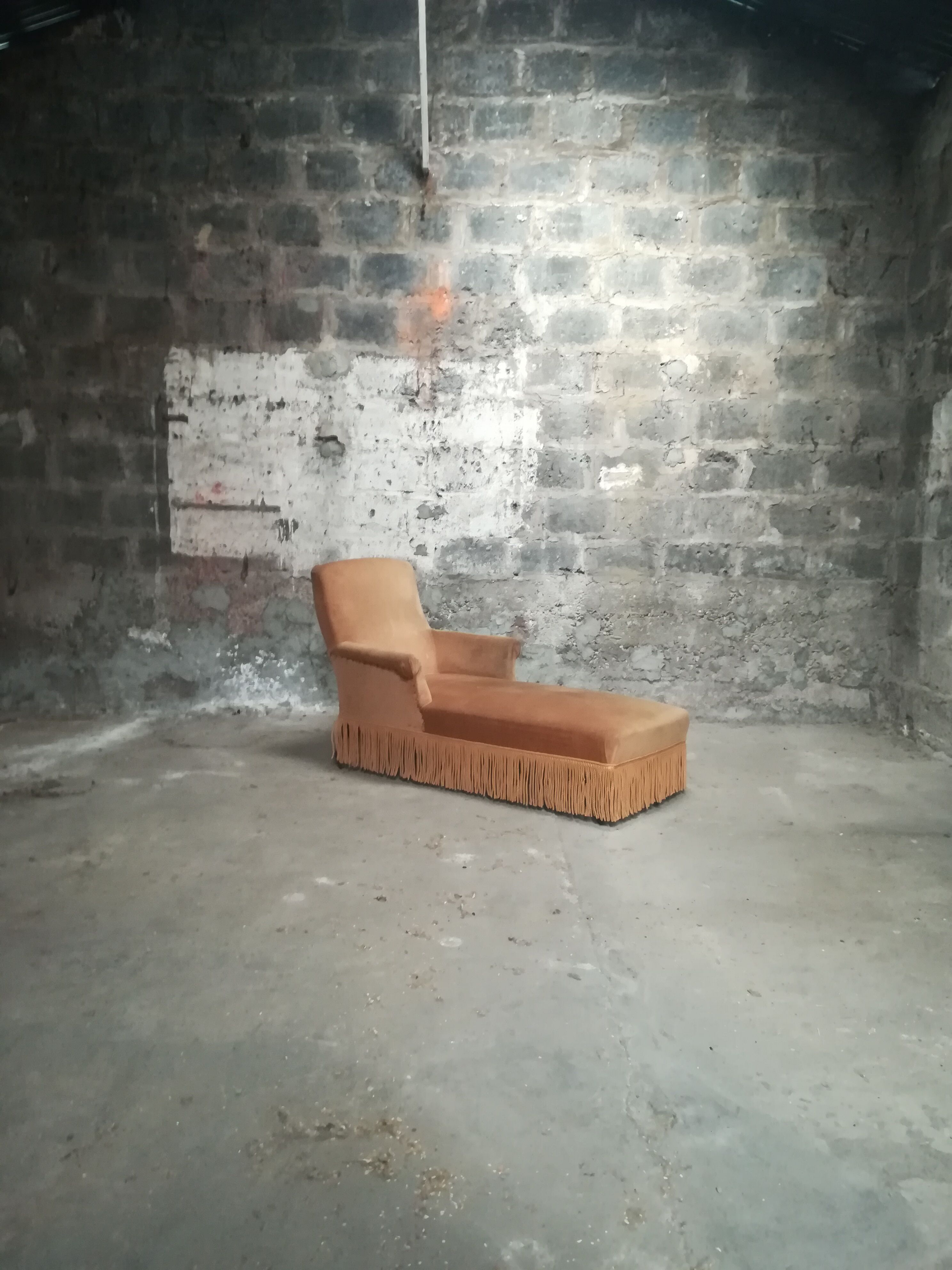 Meridian vintage toad