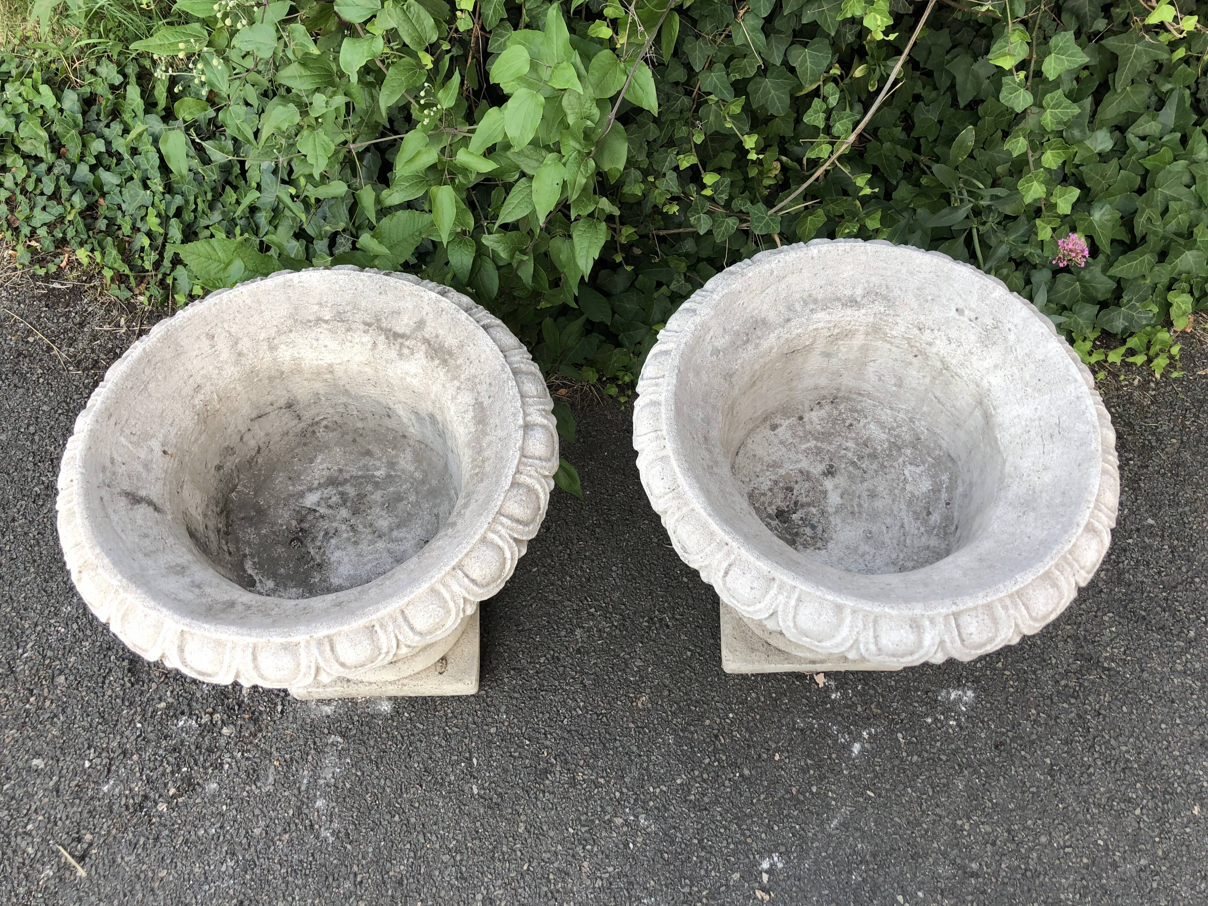 Pair of medicis and boxvales