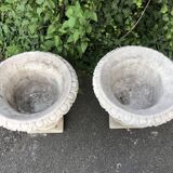 Pair of medicis and boxvales