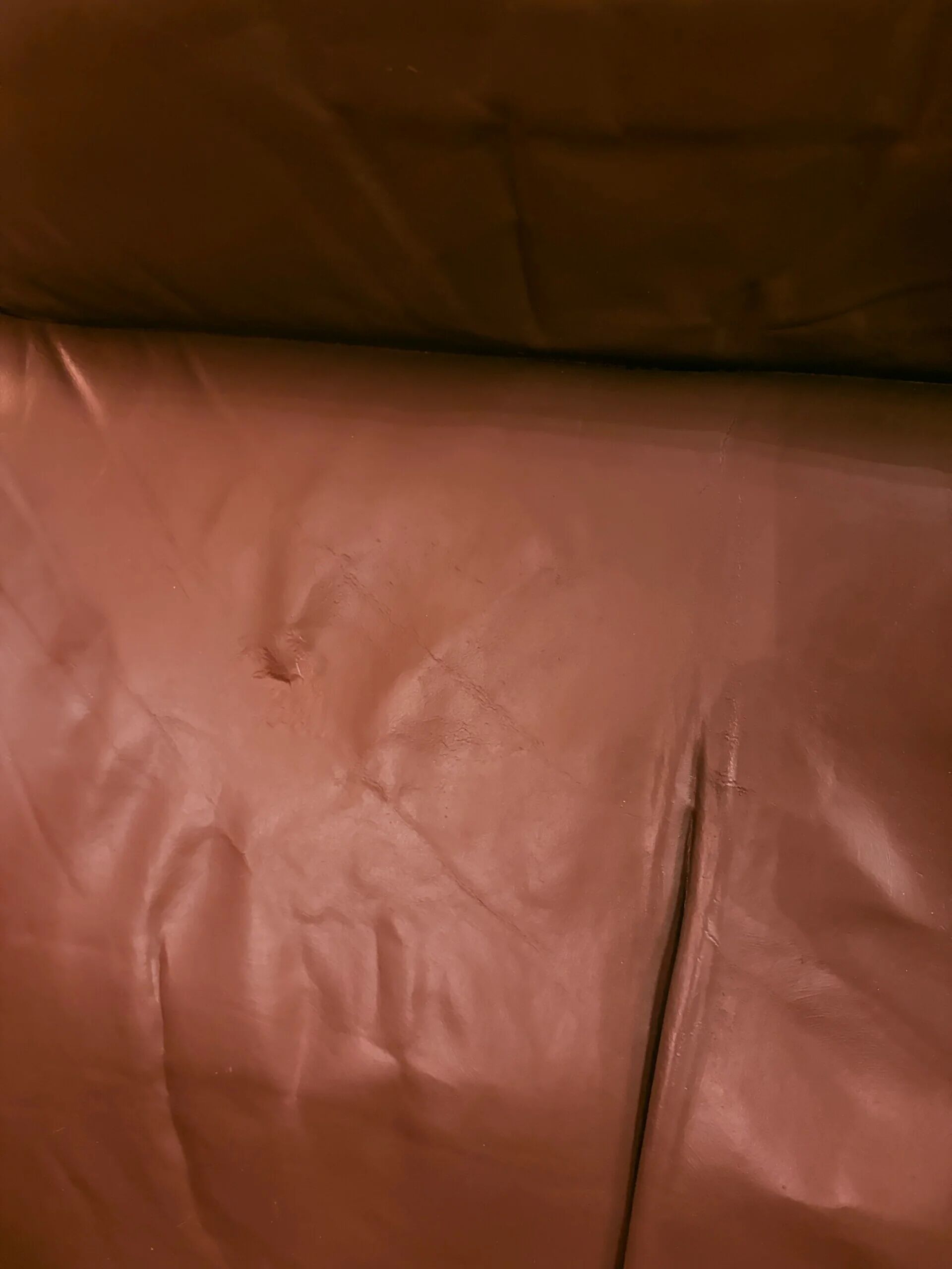 Fauteuil De Sede Suisse, DS-31, années 1970