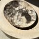Very large pocket or dish in petrified wood