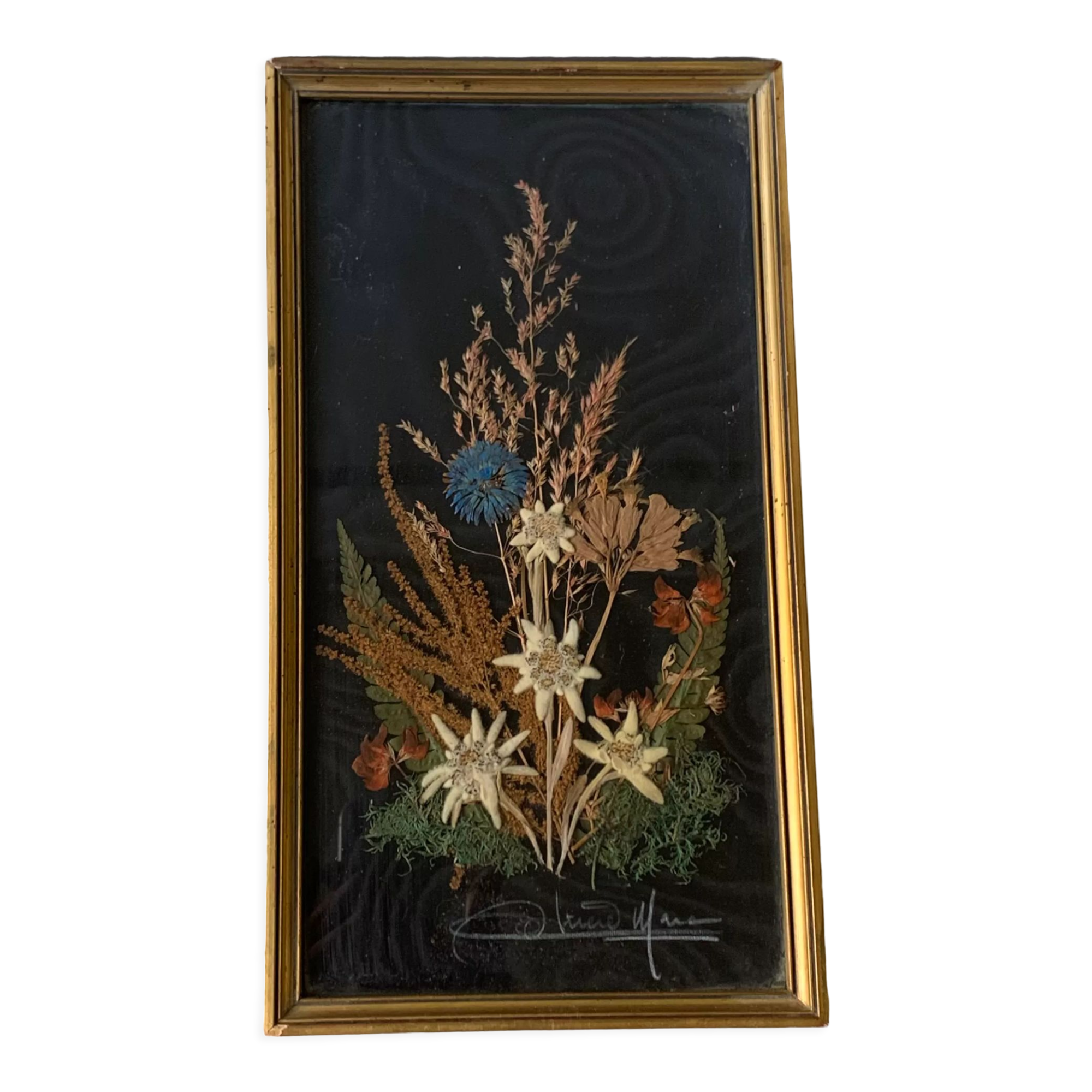 Old painting frame dried flowers vintage