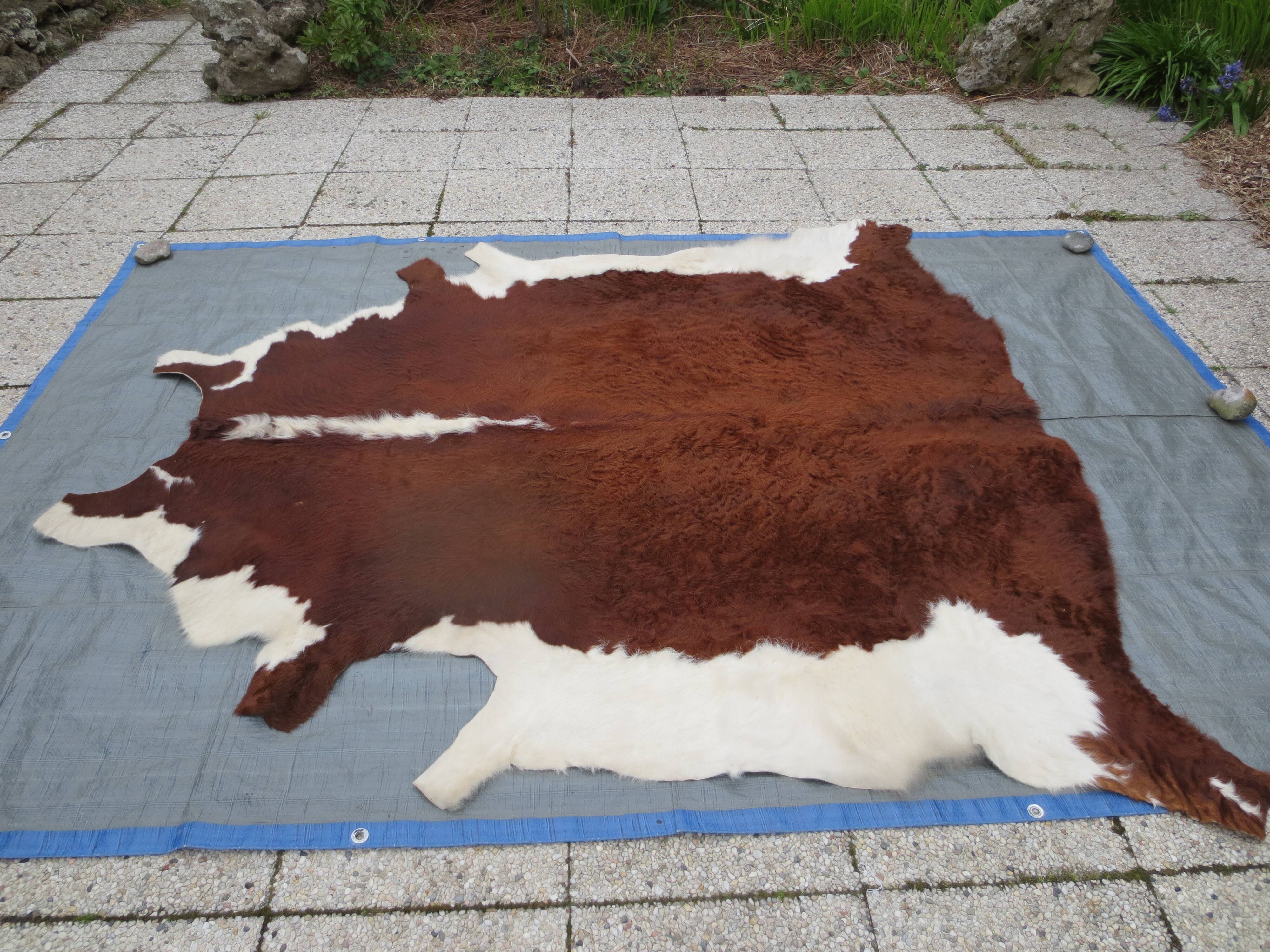 Cowhide color auburn and white 200x200cm