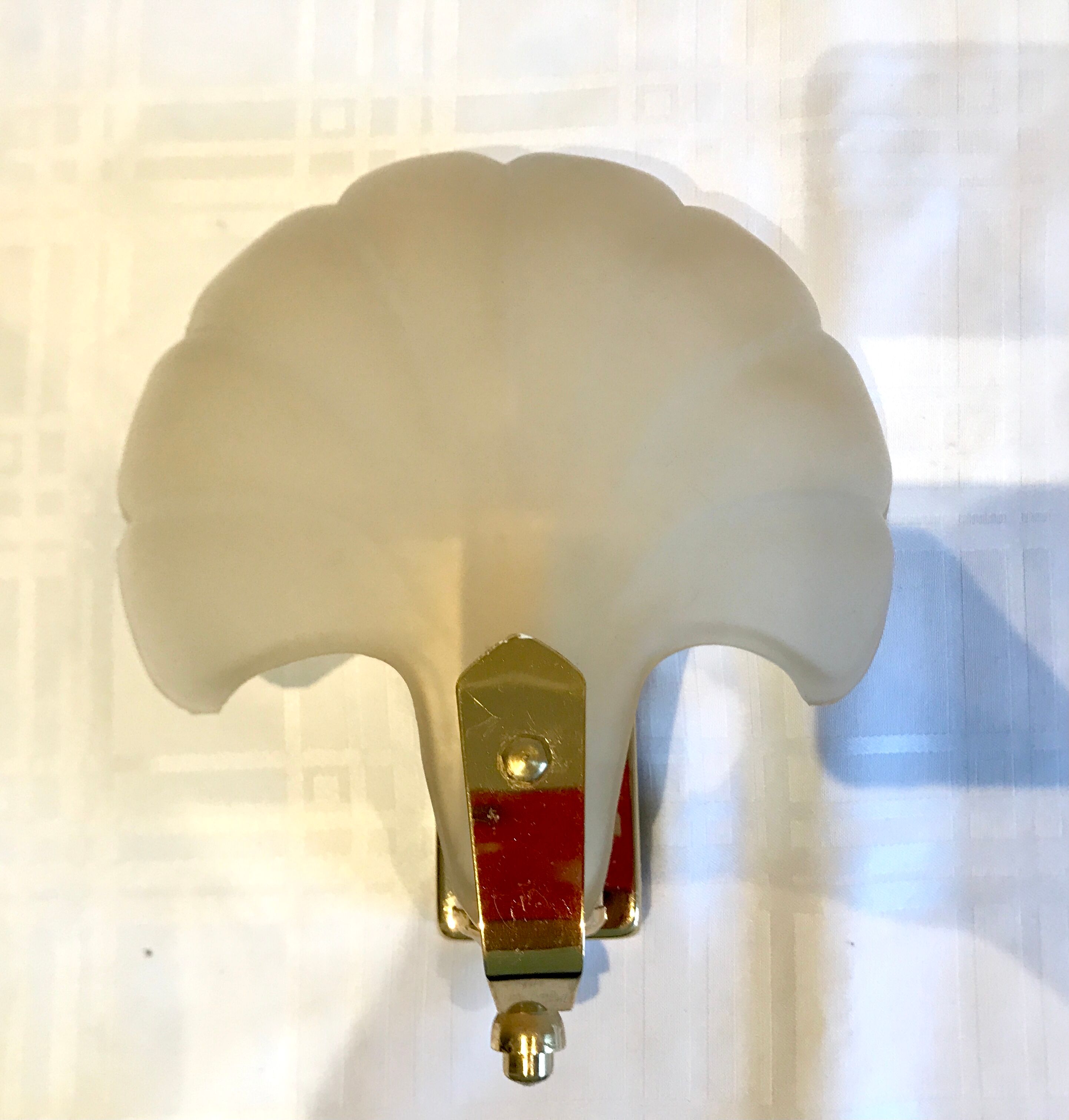 Pair of shell sconces