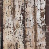 "Ethnic" double door, antique (19th/early 20th century)