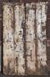 "Ethnic" double door, antique (19th/early 20th century)