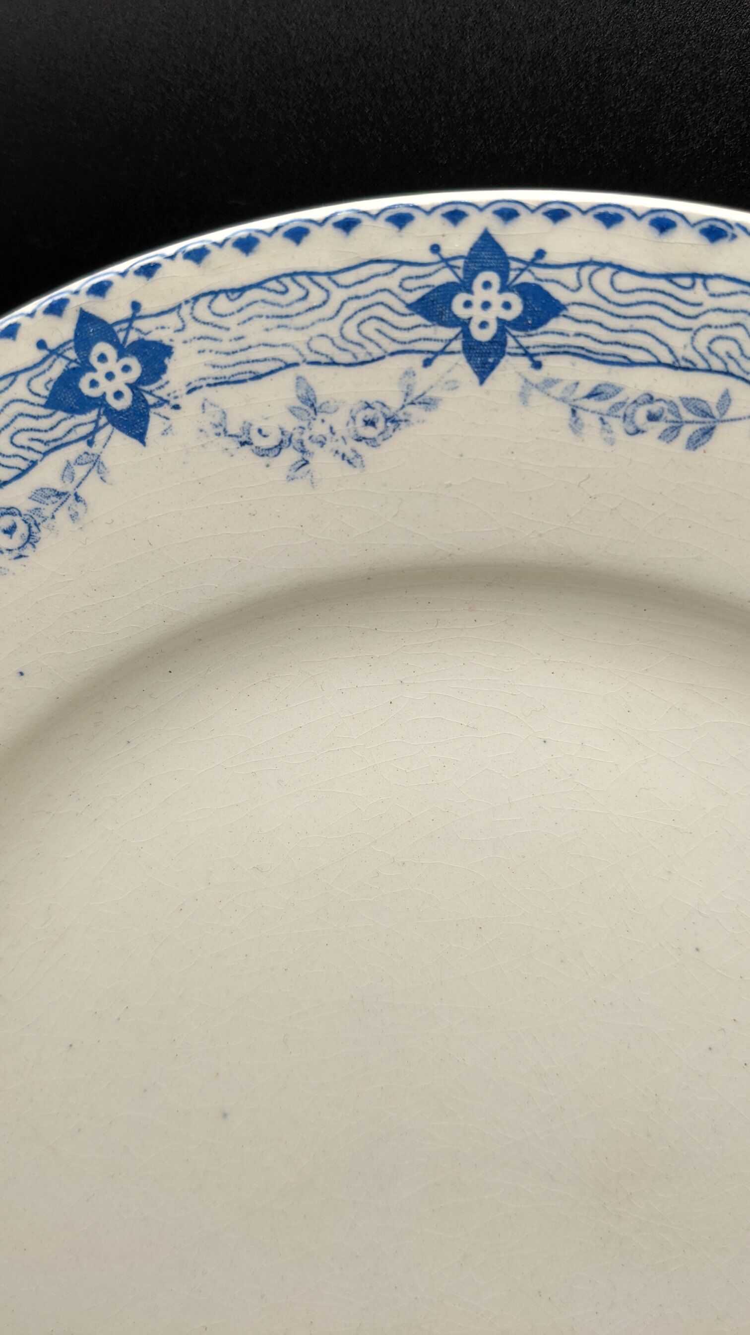Lot 2 old flat plates boulenger choisy le roi lavoisier