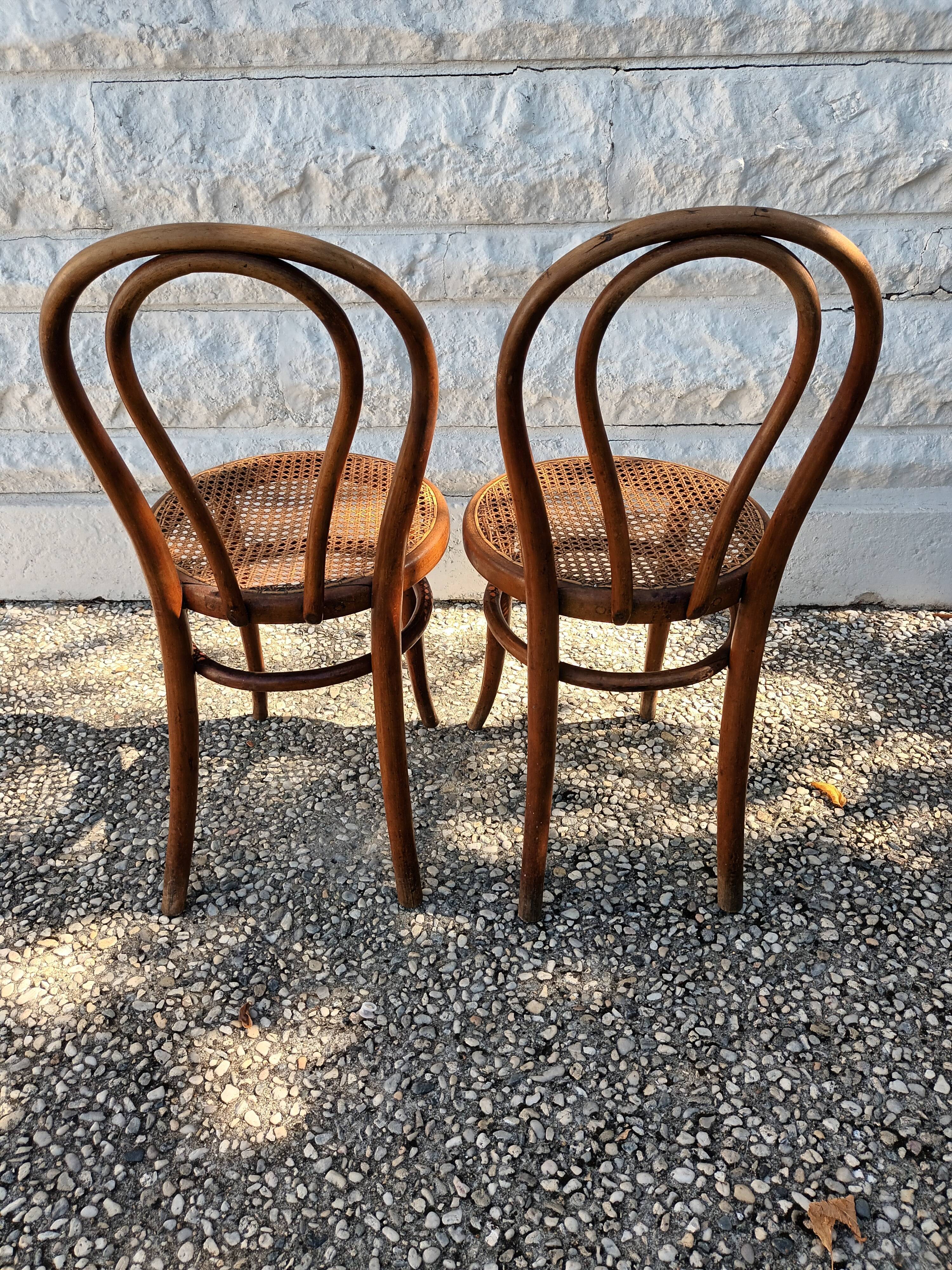 Canned chairs Thonet