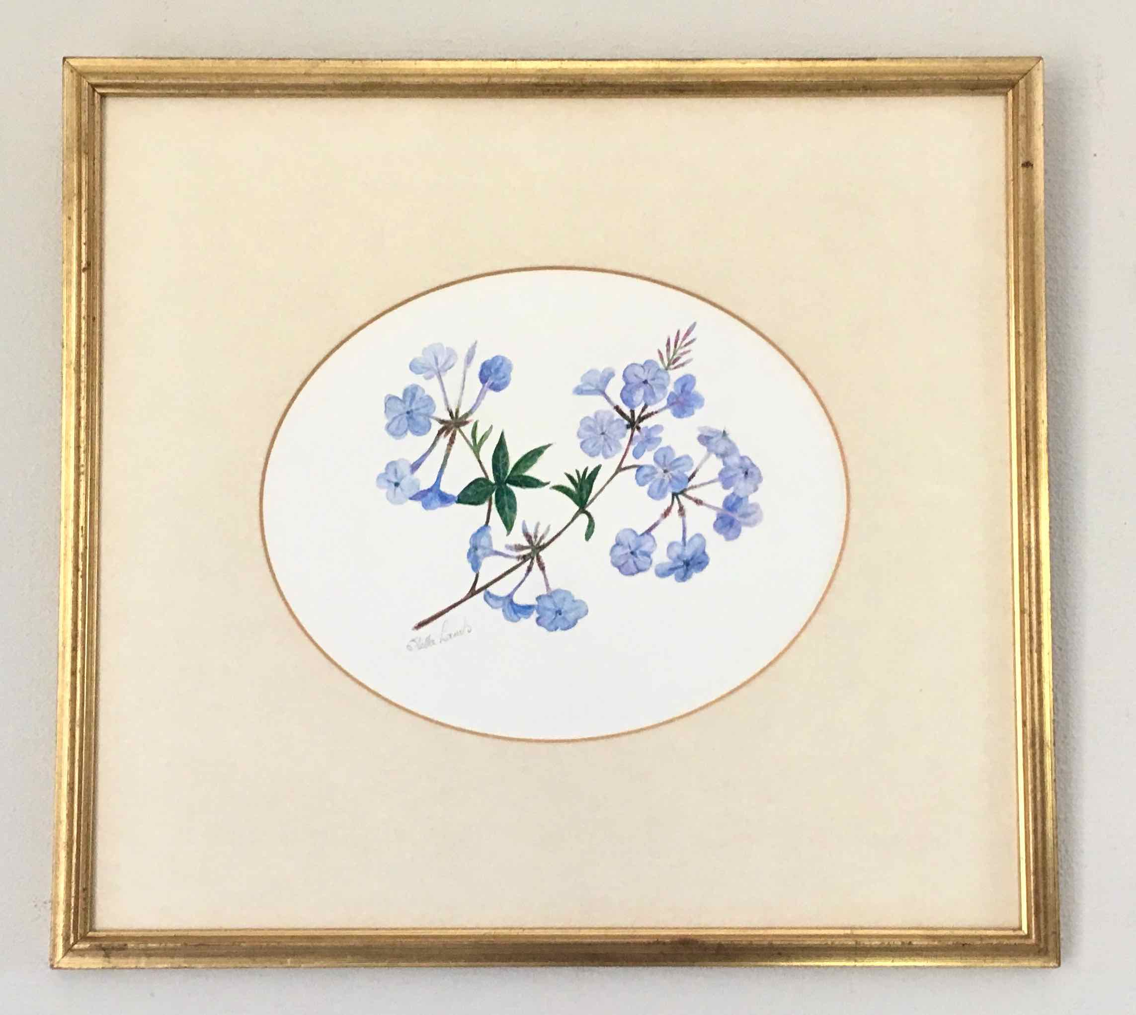 Tableau aquarelle fleurs de plumbago