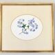 Tableau aquarelle fleurs de plumbago