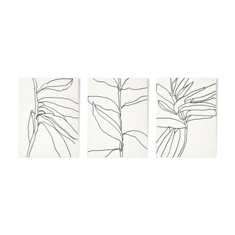 Set of 3 giclee prints. Botanical series