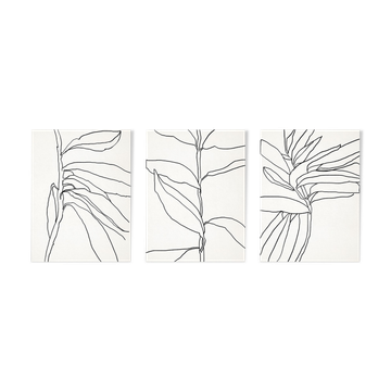 Ensemble de 3 illustrations