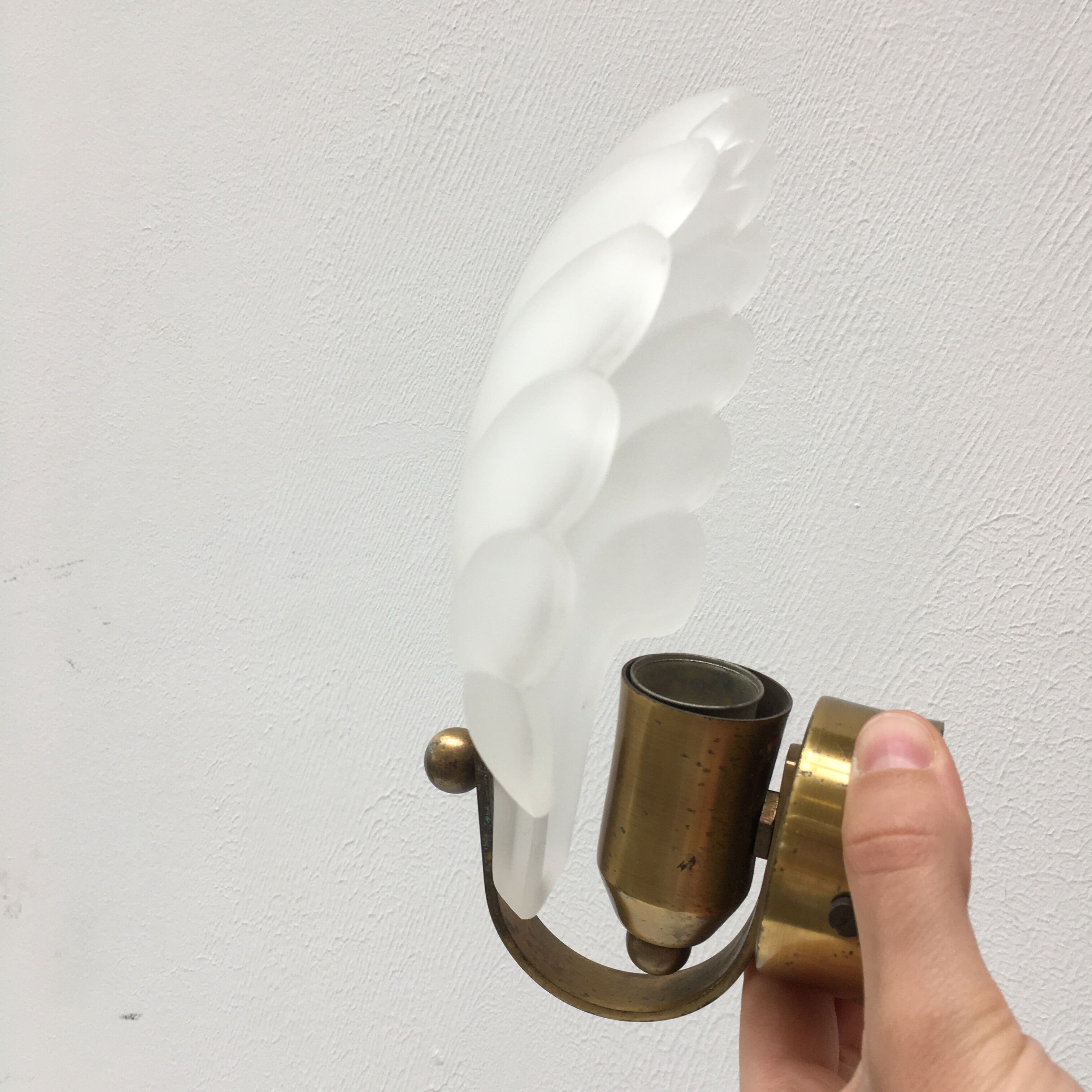 Shell wall lamp 70s Deknudt