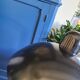 Vintage french lamp 70 aluminor