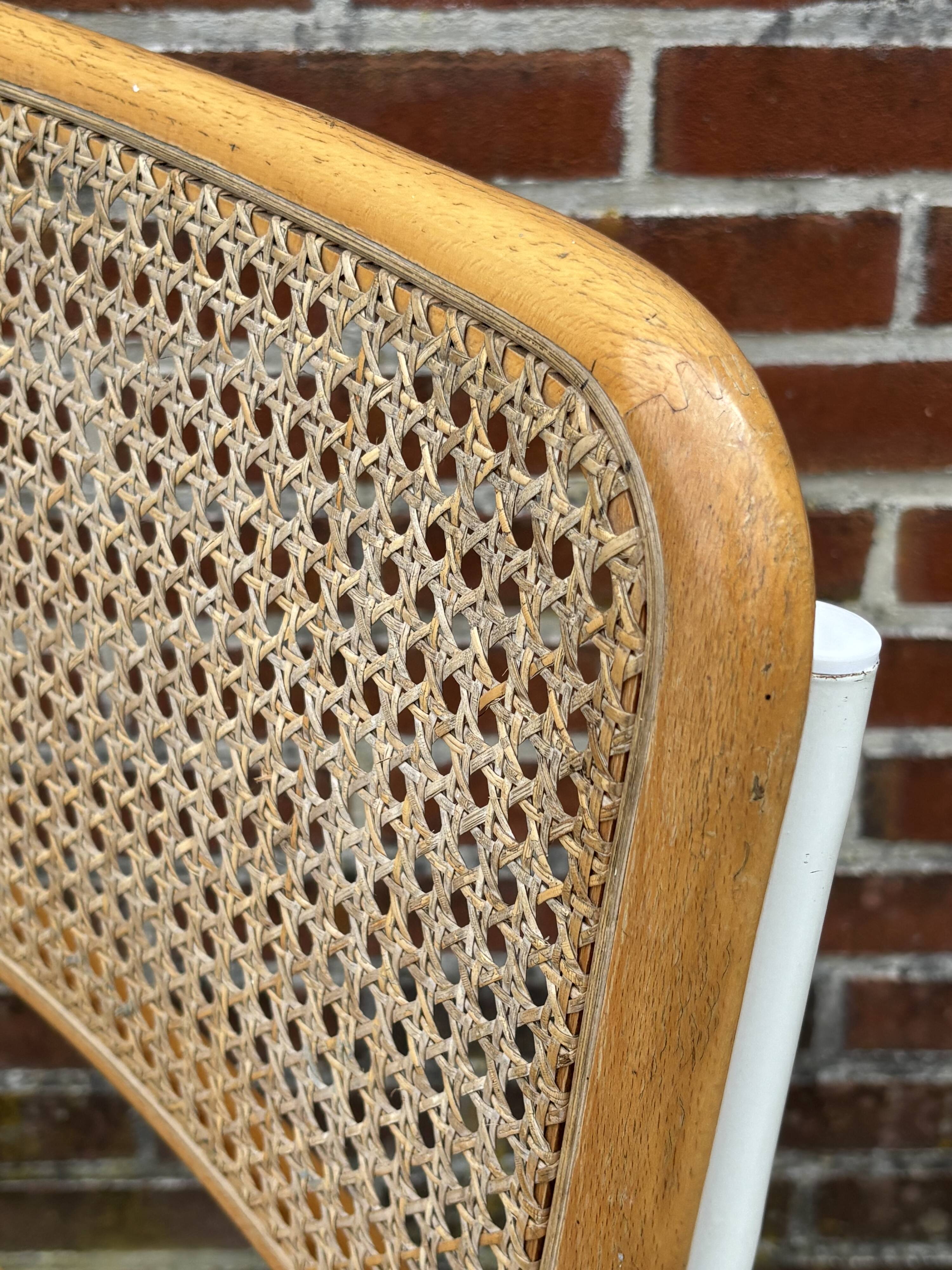 Cesca chair b32 model in white and wood by Marcel Breuer
