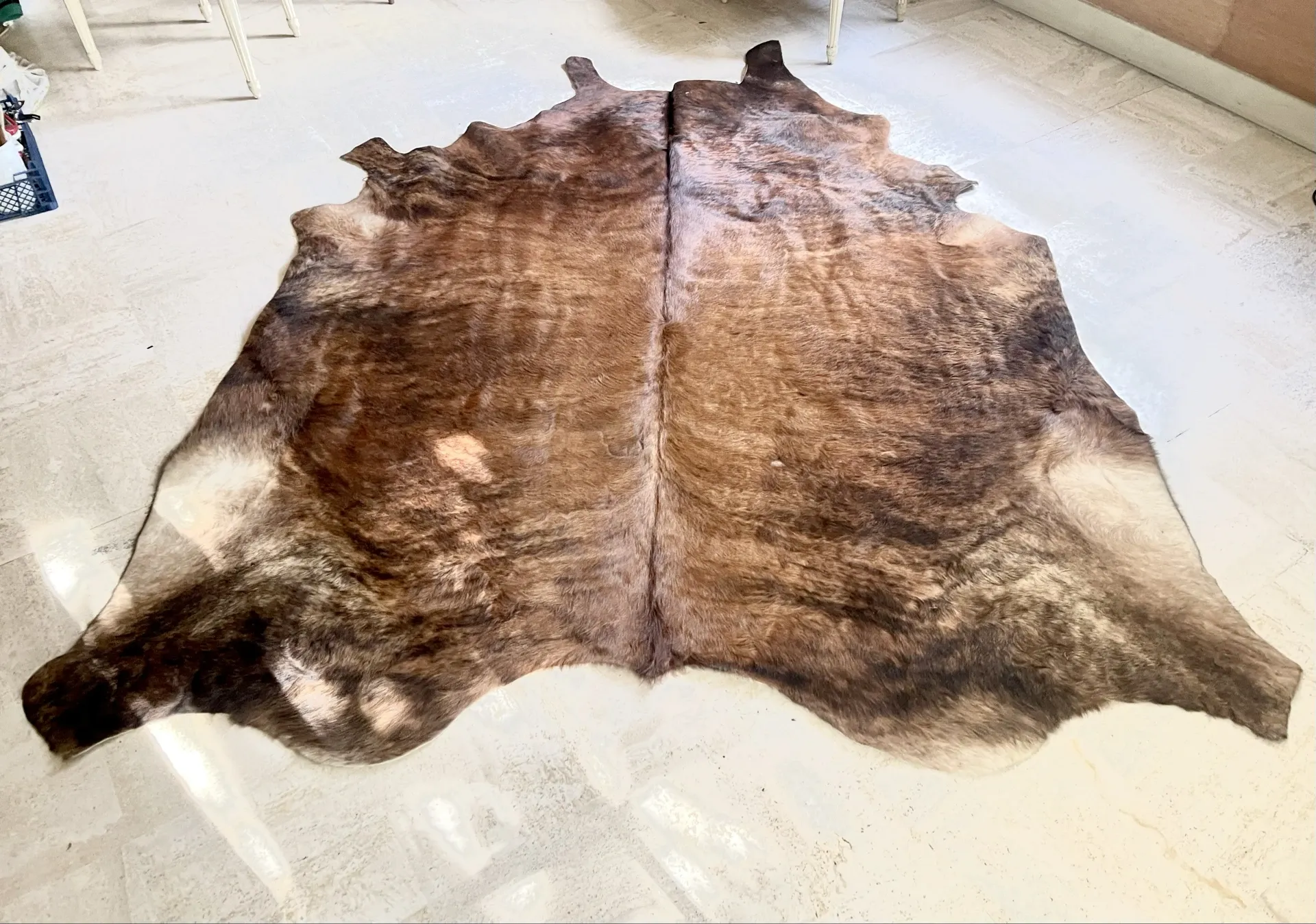 Texas cowhide rug, 1970